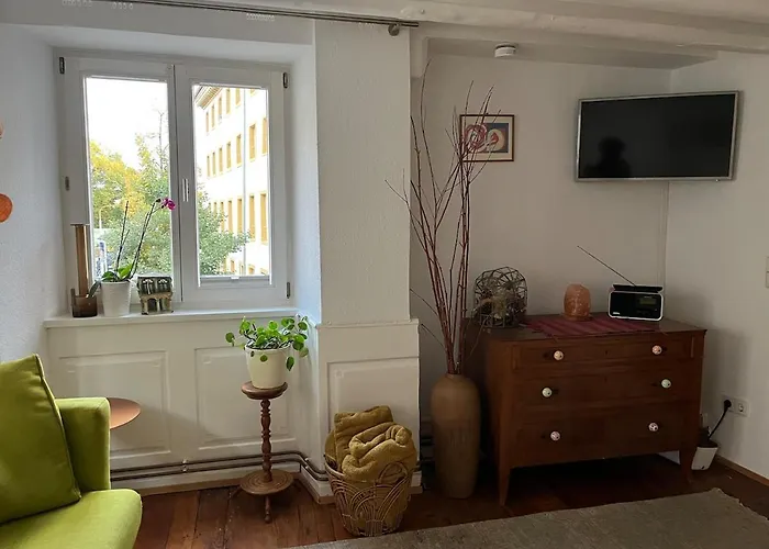 Apartment Zumgruenenlindenbaum Konstanz