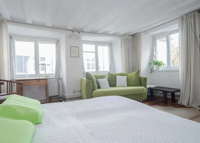 Zumgruenenlindenbaum Apartment Konstanz